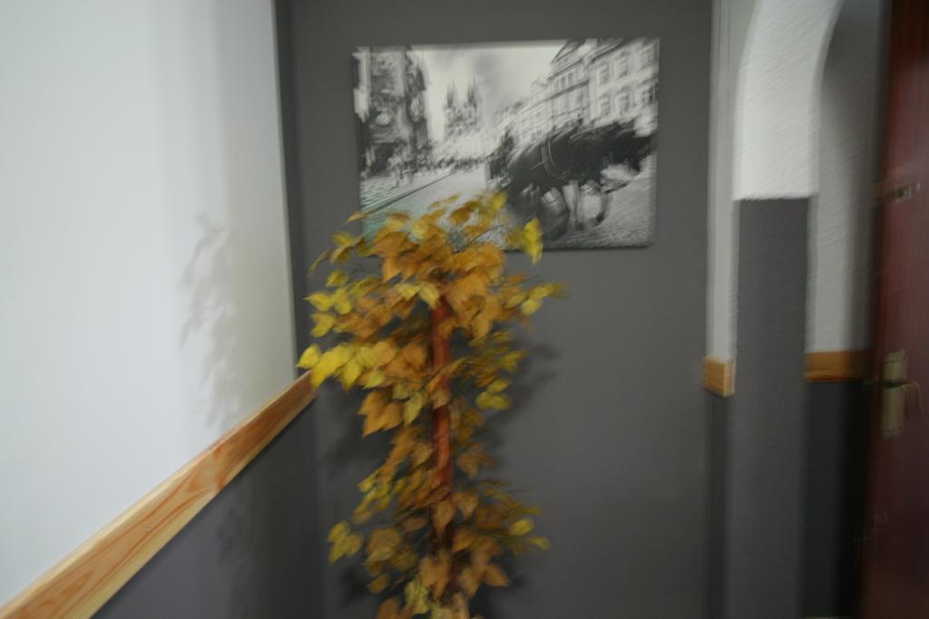 Hostal Restaurante Avenida De Madrid Тарраса Екстер'єр фото